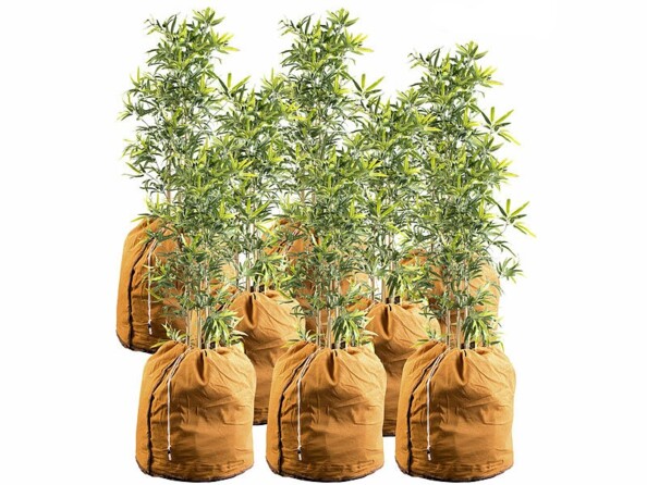 Pack de 8 housses d’hivernage pour plantes de 70 x 65 cm de la marque Royal Gardineer