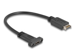 Câble USB 10 Gbps Type-E vers USB-C femelle 25 cm