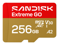 Carte microSDXC Extreme GO 256 Go UHS-I U3 V30 A2