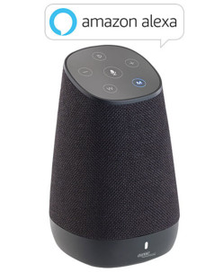 Enceinte multiroom compatible alexa ZX1660
