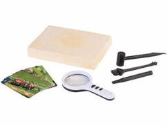 kit de fouilles pour insectes dans l'ambre avec accesoires de recherche et fiches