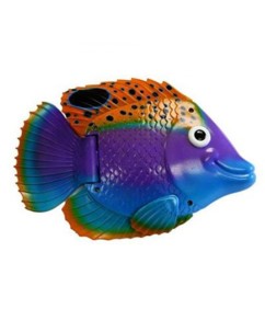 Poisson nageur violet et orange