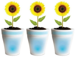 3 pots lumineux LED pour plante