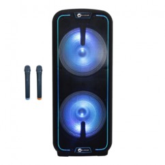 Enceinte trolley The Flash 3010 avec 2 micros.