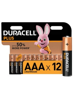 12 piles AAA (LR3) Plus Duracell.