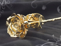 Rose éternelle - Dorée à l'or 24 carats