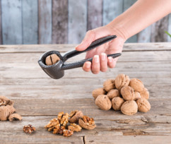 Casse-noix et pince à bouchon en métal