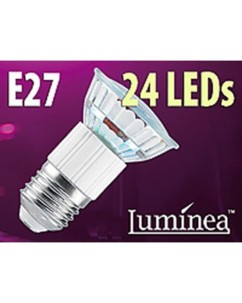 Ampoule 24 LED SMD E27 blanc neutre