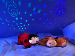 Coccinelle Florian avec projection d'étoiles et changement de couleurs