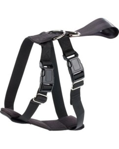 Harnais pour chien avec sécurité auto - taille XXL