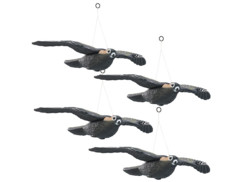 4 faucons anti-oiseaux à suspendre