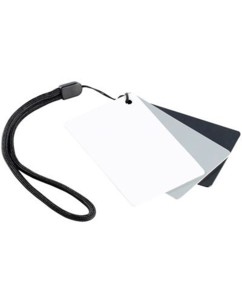 Charte de gris pour balance numérique des blancs 3 en 1