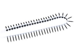 250 vis pour chargeur - pour métal - 3,5 x 25 mm