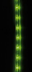 Tube LED pour intérieur et extérieur - 10 m - vert