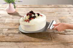 pelle a tarte sous plat pour tarte gateau patisserie en acier inoxydable pour service