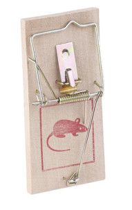 pack de 10 tapettes à souris en bois piege letal souris rongeur rat mulot nuisible