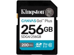 Carte SD Canvas Go! Plus - 256 Go / Gen4