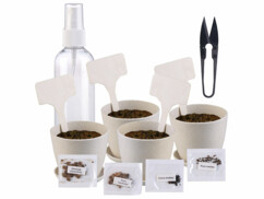 Kit complet pour faire pousser soi-même ses bonsaï