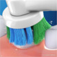 10 brossettes de rechange Pro Precision Clean