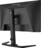 Écran gaming  G-MASTER GB2591HSU-B1 Gold Phoenix 24,5"