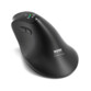 Souris verticale ergonomique sans fil ERGO AUDITOR
