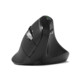 Souris verticale ergonomique sans fil ERGO AUDITOR