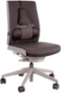 Support dorsal à mémoire de forme Premium Professional Series
