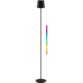 Lampe sur pied LED sans fil RVBB - Noir / 122 cm