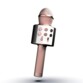 Microphone karaoké sans fil et enceinte bluetooth - Rose