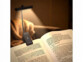 Lampe de lecture rechargeable 360° 40 lm avec pince et intensité variable