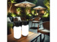2 lanternes d’extérieur rechargeables LED 120 lm - coloris noir