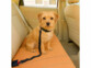 ceinture de sécurité pour chien voiture