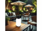Lanterne de jardin rechargeable LED 120 lm 
