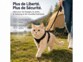 Harnais pour chat avec laisse - XS
