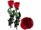 Pack de 2 roses éternelles "rouges" avec tige de la marque St. Leonhard