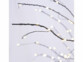Arbre lumineux 150 cm à 900 LED