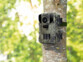 Caméra de chasse 4K WK-665.app accrochée à un arbre