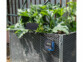 Système d'irrigation solaire autonome BWC-630.solar pour jusqu'à 15 plantes mis en place dans un carré potager