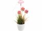 Lampe pour plante à planter avec LED spectre complet