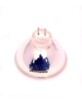 Ampoule 12 V / 100 W GZ-6