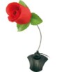 Microphone rose