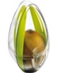 Garde Kiwi