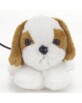 Webcam Chien