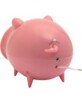 Radio USB Cochon