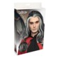 Perruque grise longue style "Vampire"
