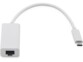 Câble adaptateur USB-C mâle vers port RJ45 femelle Gigabit Ethernet coloris blanc