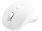 Vue rapprochée sur les quatre boutons de la souris optique USB-C Matias PBT coloris blanc