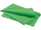Tissu d'arrière-plan vert en coton 300 X 400 cm Somikon