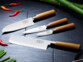 Set de 4 couteaux de cuisine en inox