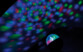 Boule disco rotative à 360° avec effets lumineux LED RVB 3 W